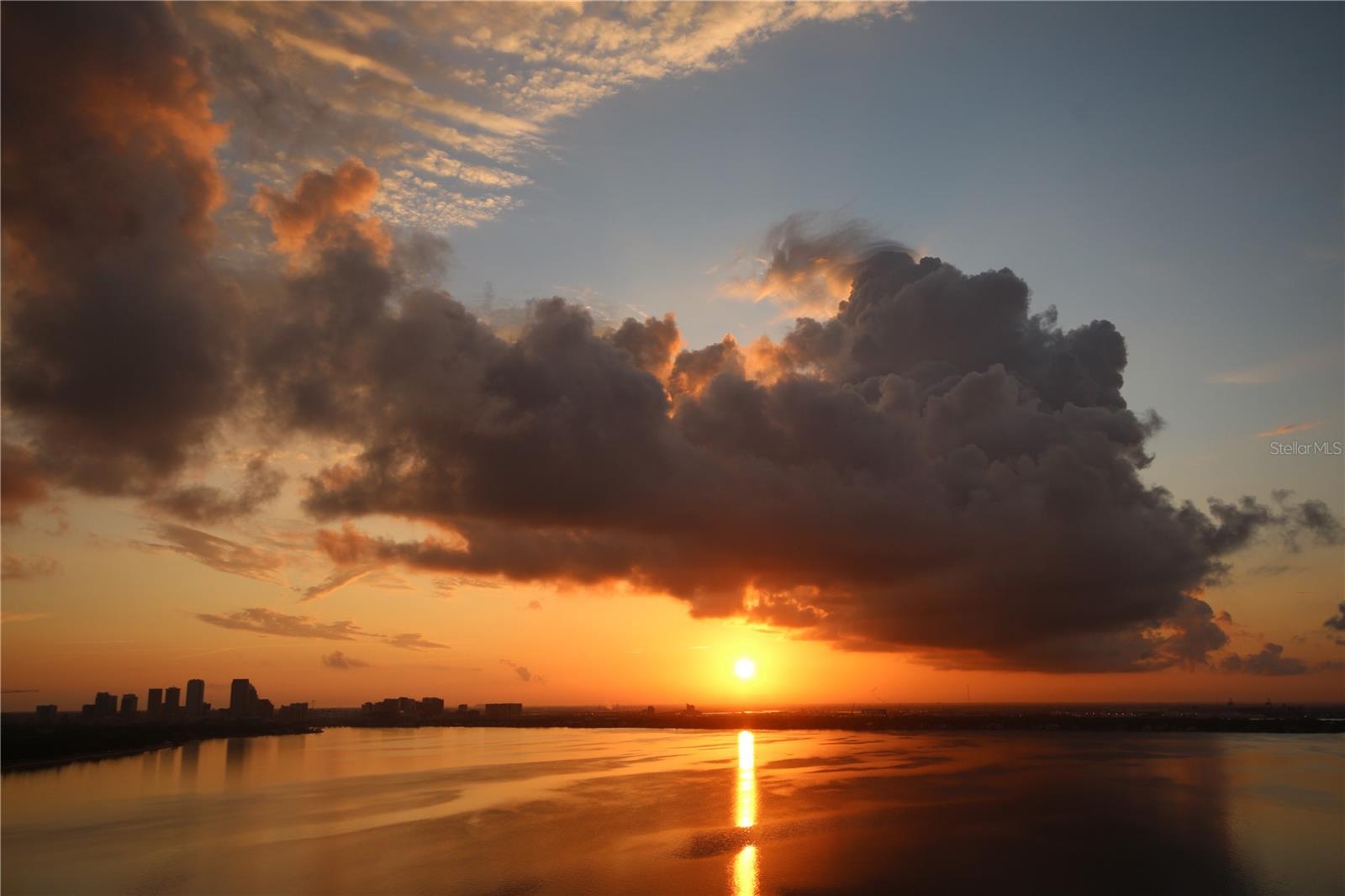 VIRAGE BAYSHORE - Residential