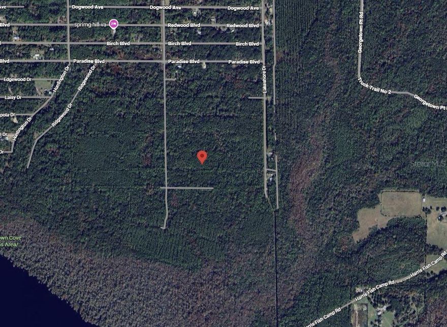 Owner financing considered! Rare opportunity to own a 0.23-acre vacant lot in Georgetown, FL! This residential lot is zoned R-2, allowing for single-family homes, tiny homes, barndominiums or mobile homes. Located in a quiet area, the property offers privacy and flexibility for your dream home or investment. Conveniently situated near local amenities, schools, and major roadways, this lot is perfect for building the home you’ve always wanted. The seller owns multiple properties throughout Putnam County and is willing to sell as a package deal, offering additional investment or development opportunities. Seller owns multiple vacant lots throughout Putnam and is open to package deals for buyers looking to invest in multiple properties.