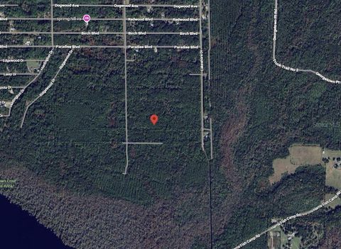 214 GARRISON AVENUE GEORGETOWN FL 32139