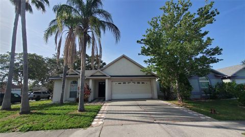 10024 CEDAR DUNE DRIVE TAMPA FL 33624