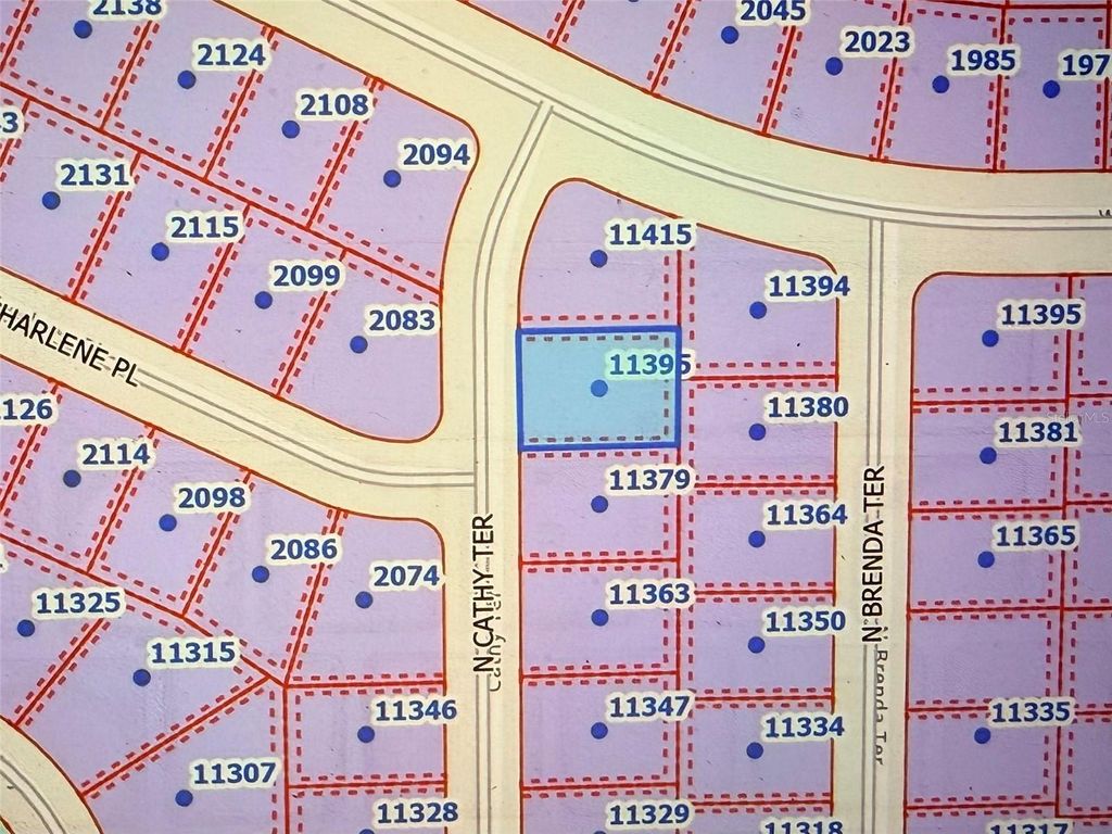 Photo of 11395 N Cathy Terrace, Citrus Springs, FL 34434 (MLS # OM722239)