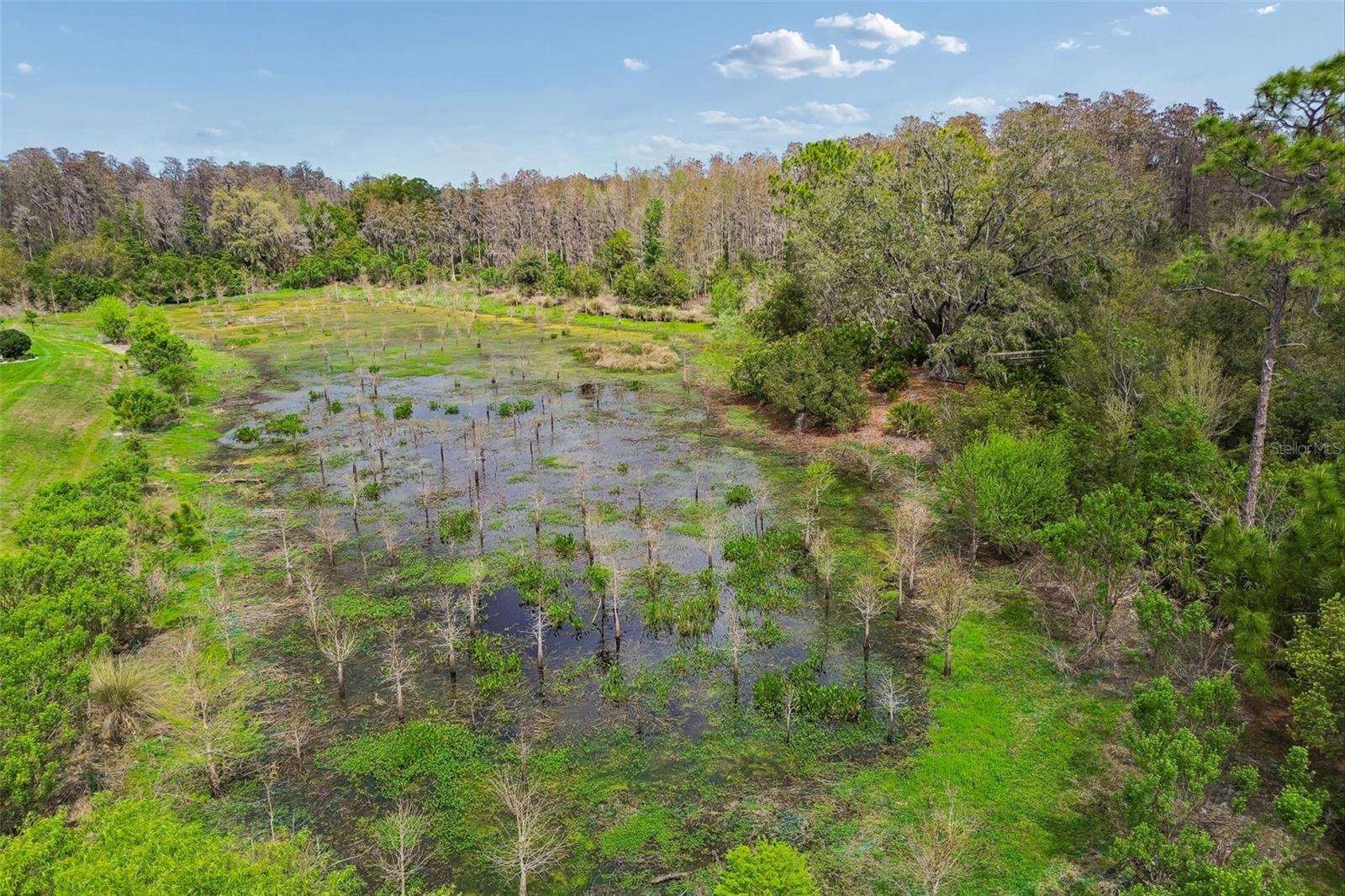 ESPLANADE AT STARKEY RANCH - Residential