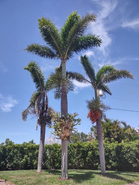 A home in PUNTA GORDA