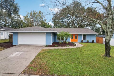 A home in PALM HARBOR