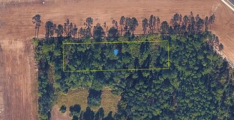 1165 CLIFFHAVEN COURT ORMOND BEACH FL 32174