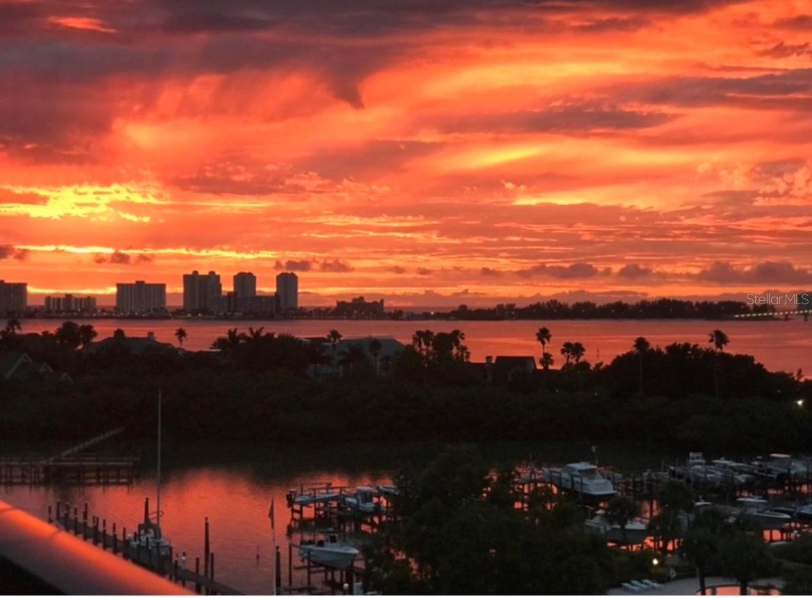 BELLEVIEW BILTMORE VILLAS SOUTH GARDEN 8 - Residential