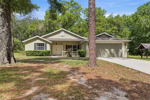 Photo of 11459 Trail Ridge Run, Brooksville, FL 34601 (MLS # W7884446)