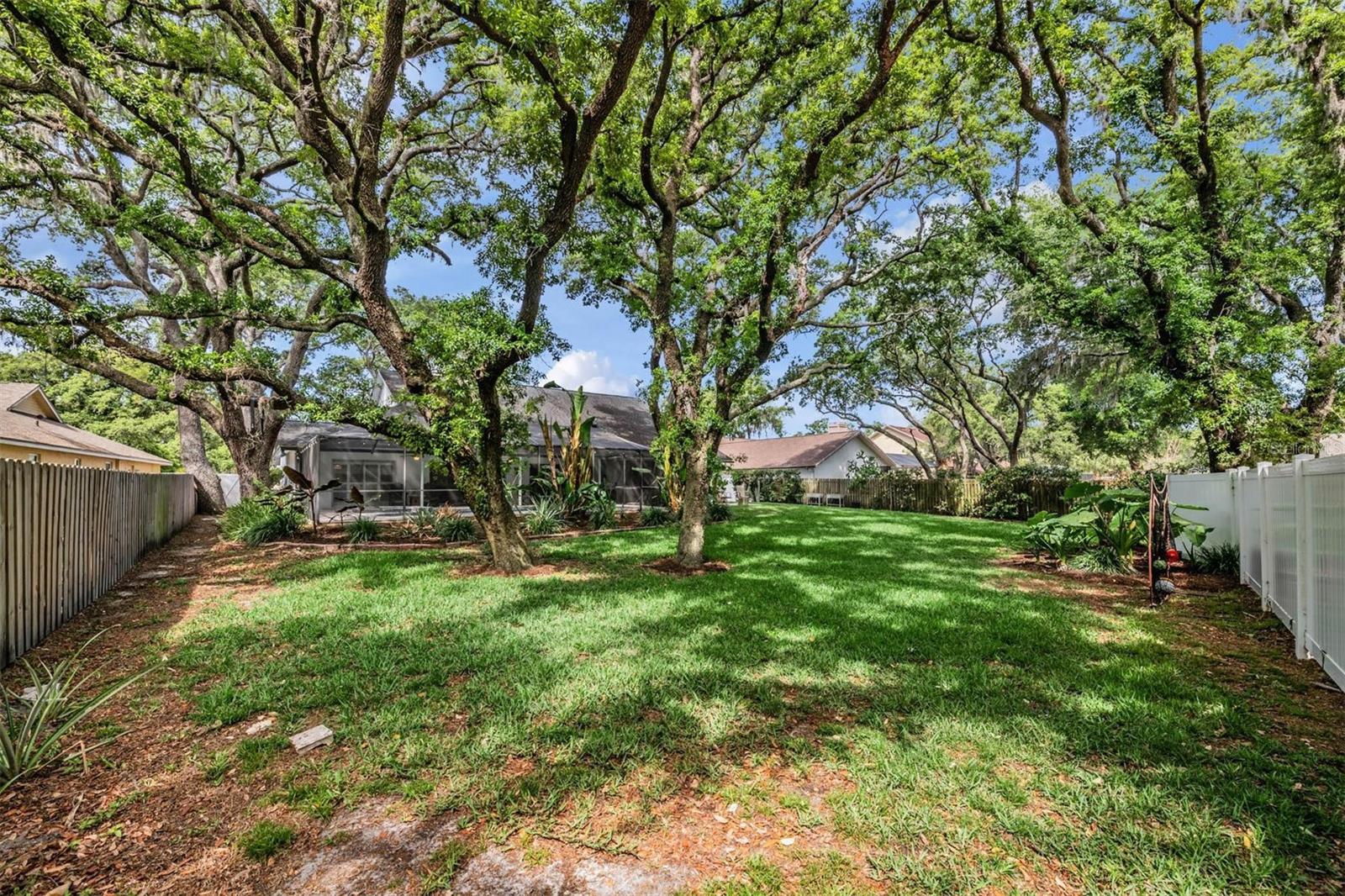 MASON OAKS - Residential