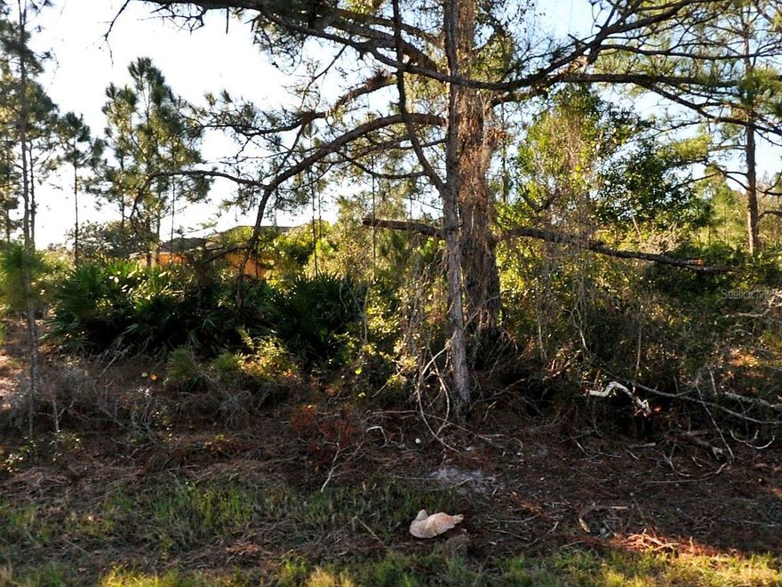 Opportunity knocks with this ideally located vacant lot, just minutes from North Port’s thriving Merchant Corridor. Nestled in a rapidly growing area, this parcel offers the perfect setting to build your dream home or serve as a smart addition to your investment portfolio.
Enjoy close proximity to area beaches, shopping, dining, and everyday conveniences—all while being tucked away in a peaceful residential neighborhood. Nestled on a corner lot. With no HOA and plenty of potential, this property offers flexibility and freedom to design the lifestyle you’ve always wanted.
Whether you’re looking to break ground soon or secure land for the future, this is a rare chance to own a piece of paradise in Southwest Florida.