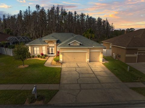 A home in WESLEY CHAPEL