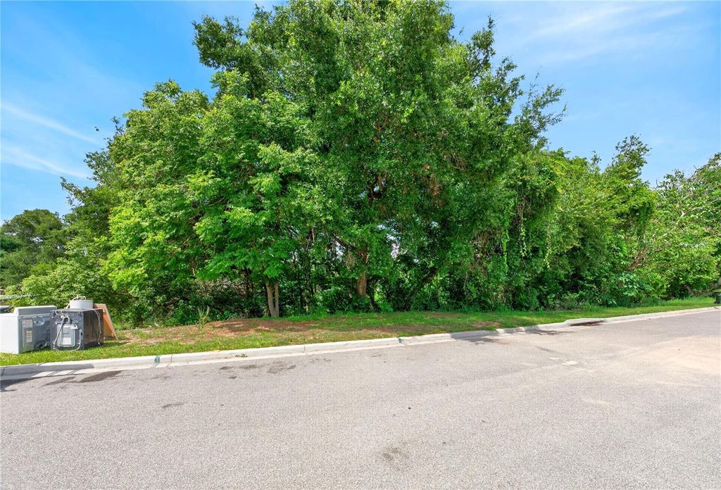 Photo of E Minneola Avenue, Clermont, FL 34711 (MLS # O6403225)