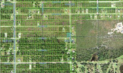 INDIAN LAKE ESTATES - Land