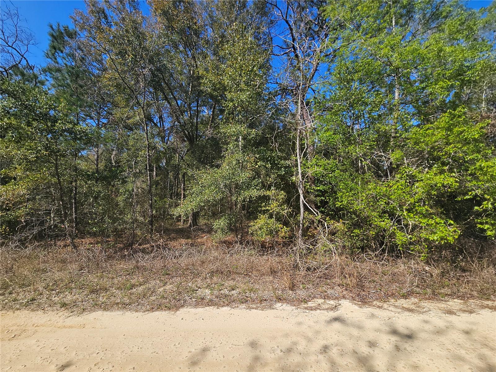 VILLAGE OF GREEN THUMBS UNIT 1 - Land