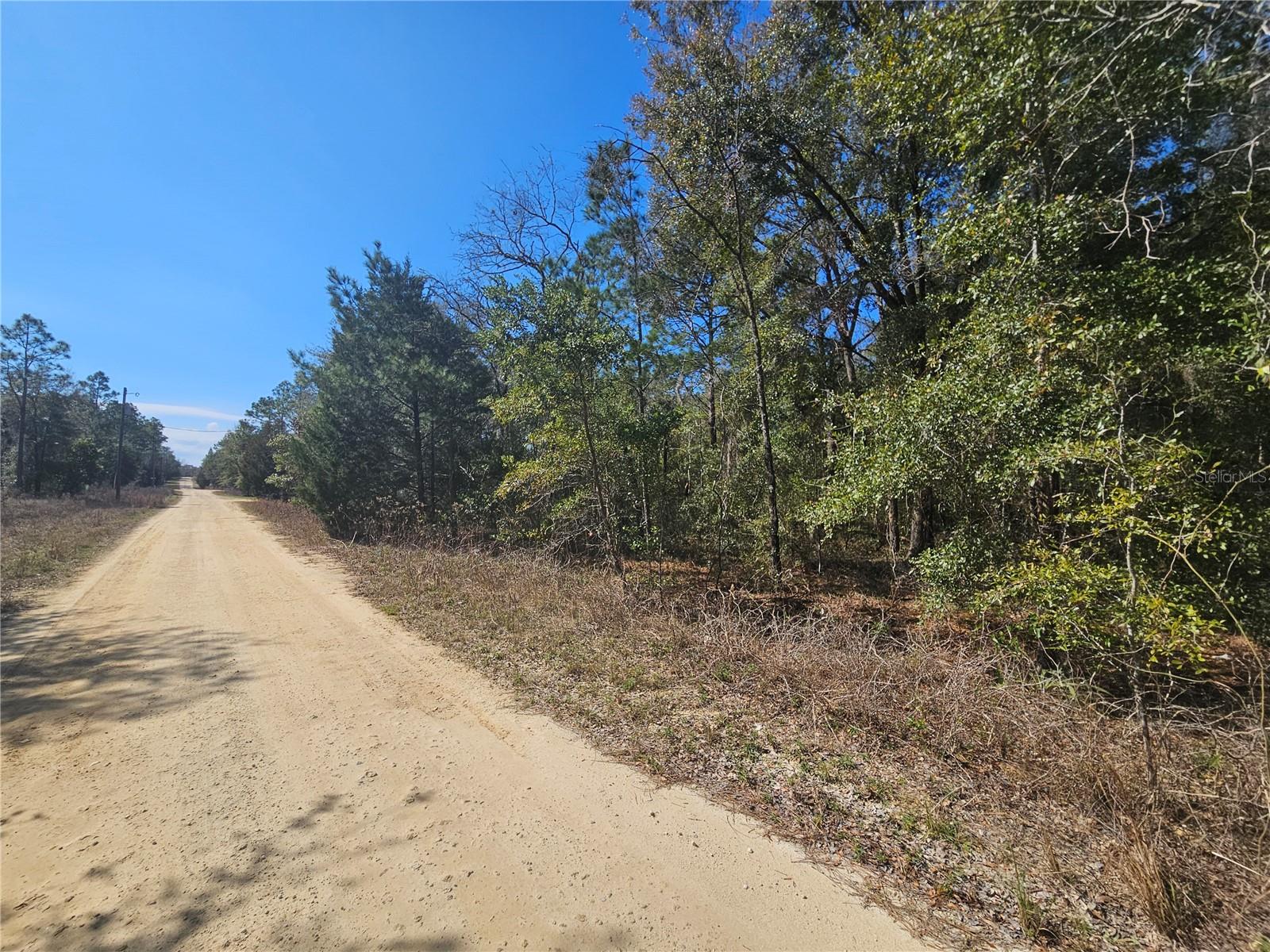 VILLAGE OF GREEN THUMBS UNIT 1 - Land