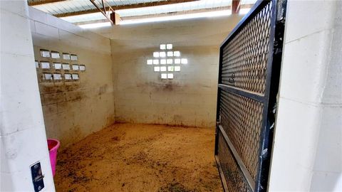 Tiny photo for 14012 S Magnolia Ave, Ocala, FL 34473 (MLS # OM627503)