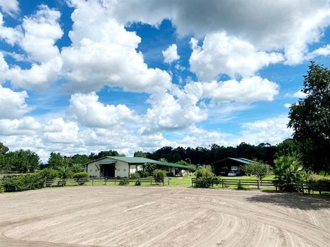 Tiny photo for 14012 S Magnolia Ave, Ocala, FL 34473 (MLS # OM627503)