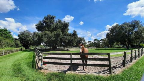 Tiny photo for 14012 S Magnolia Ave, Ocala, FL 34473 (MLS # OM627503)