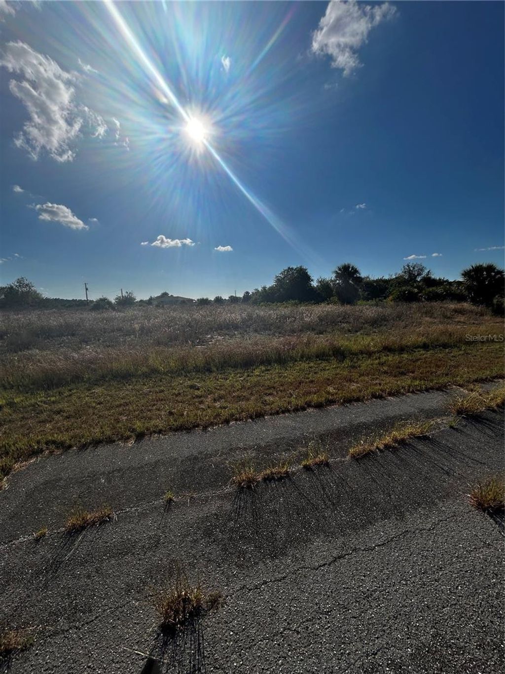 Photo of 216 Leinster Place, Labelle, FL 33935 (MLS # O6363386)