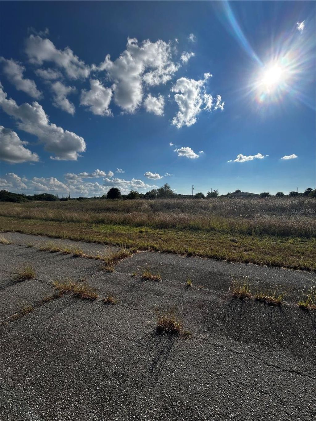 Photo of 216 Leinster Place, Labelle, FL 33935 (MLS # O6363386)