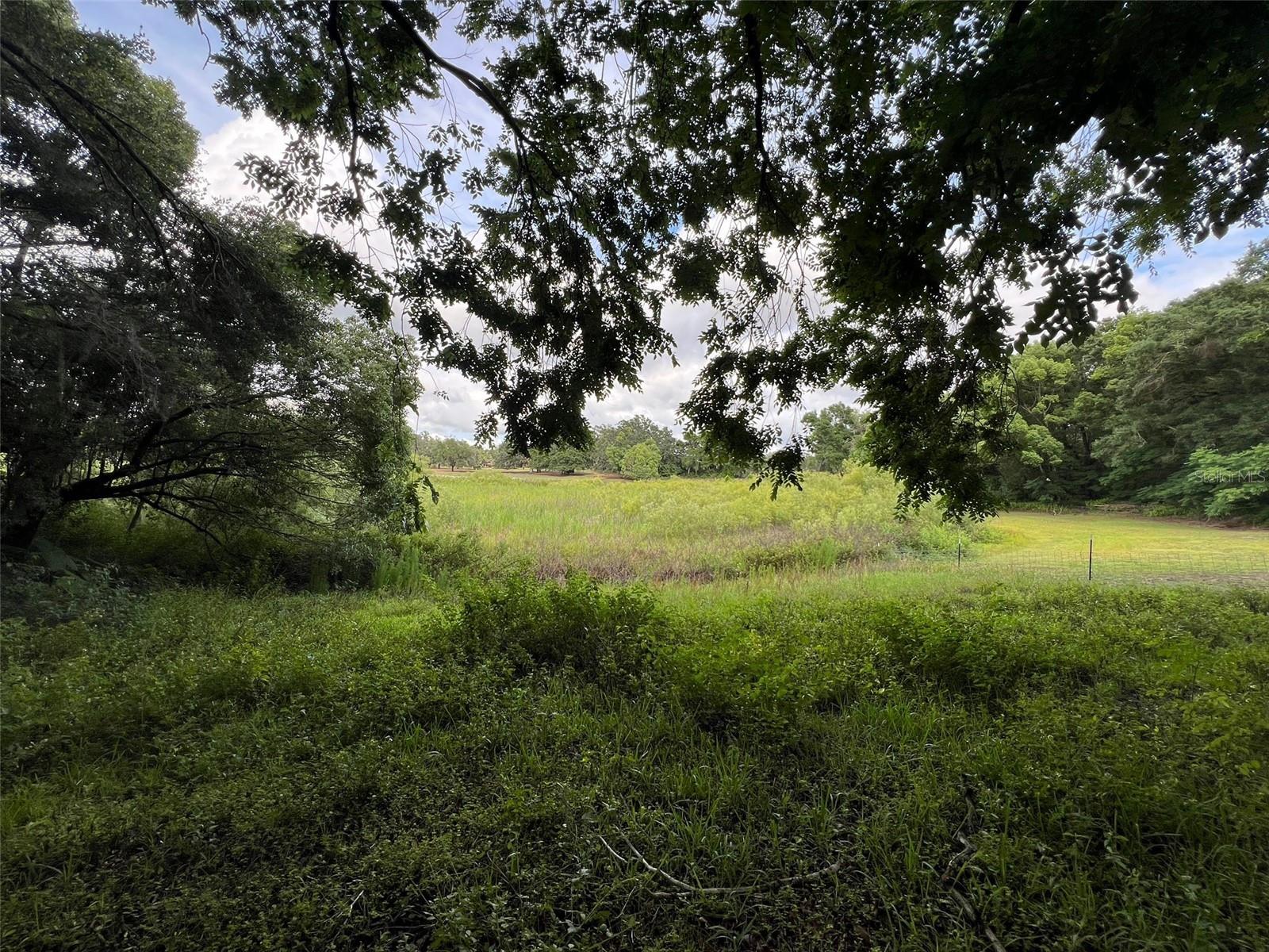 43006 STATE ROAD 19