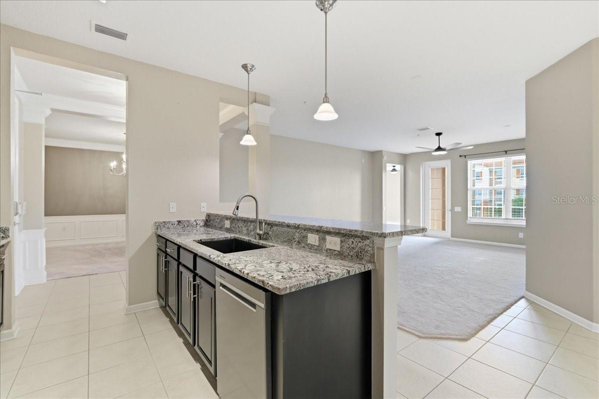 MONTEREY AT LAKE SEMINOLE CONDO - Residential