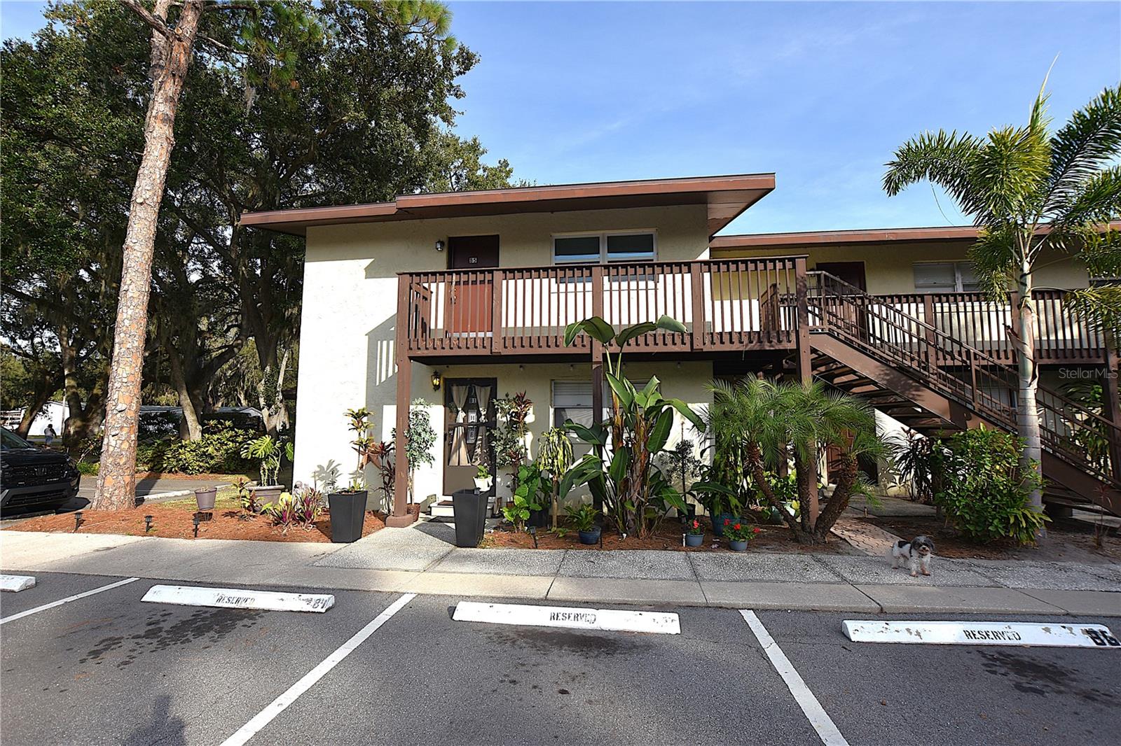 SANDY COVE/LAKELAND - Residential Lease