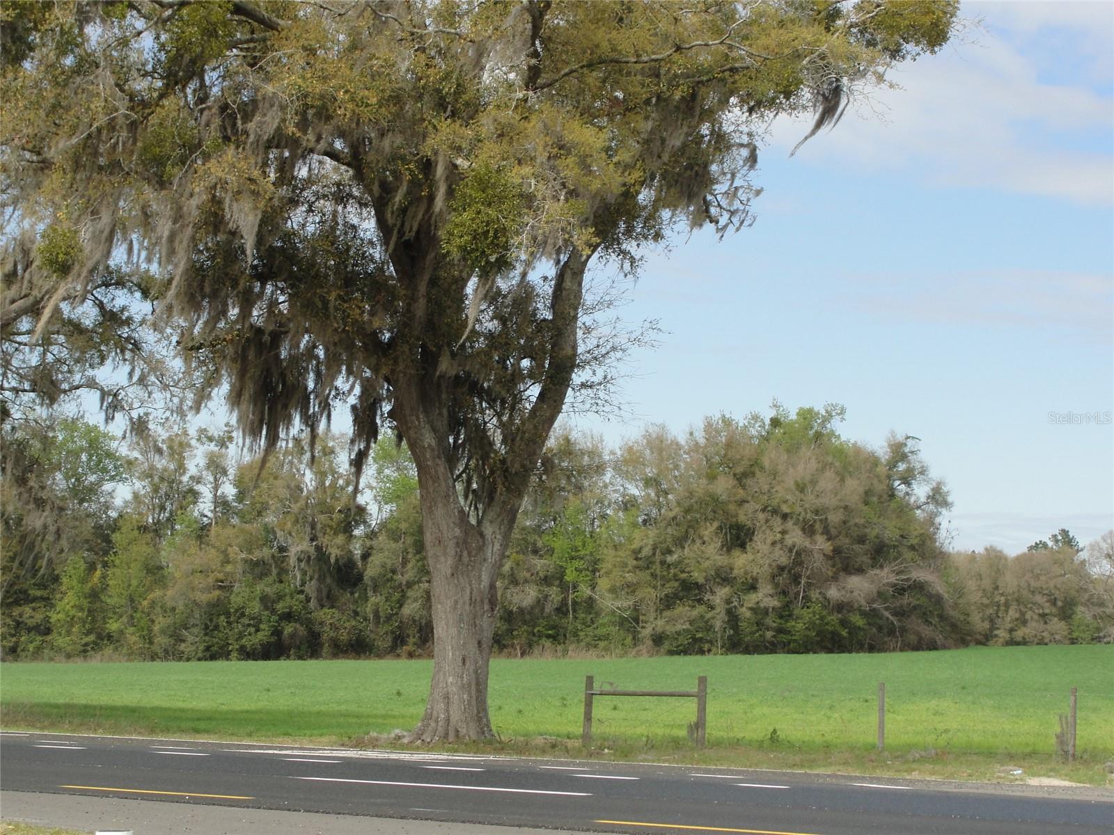 NOT IN SUBDIVISION - Land