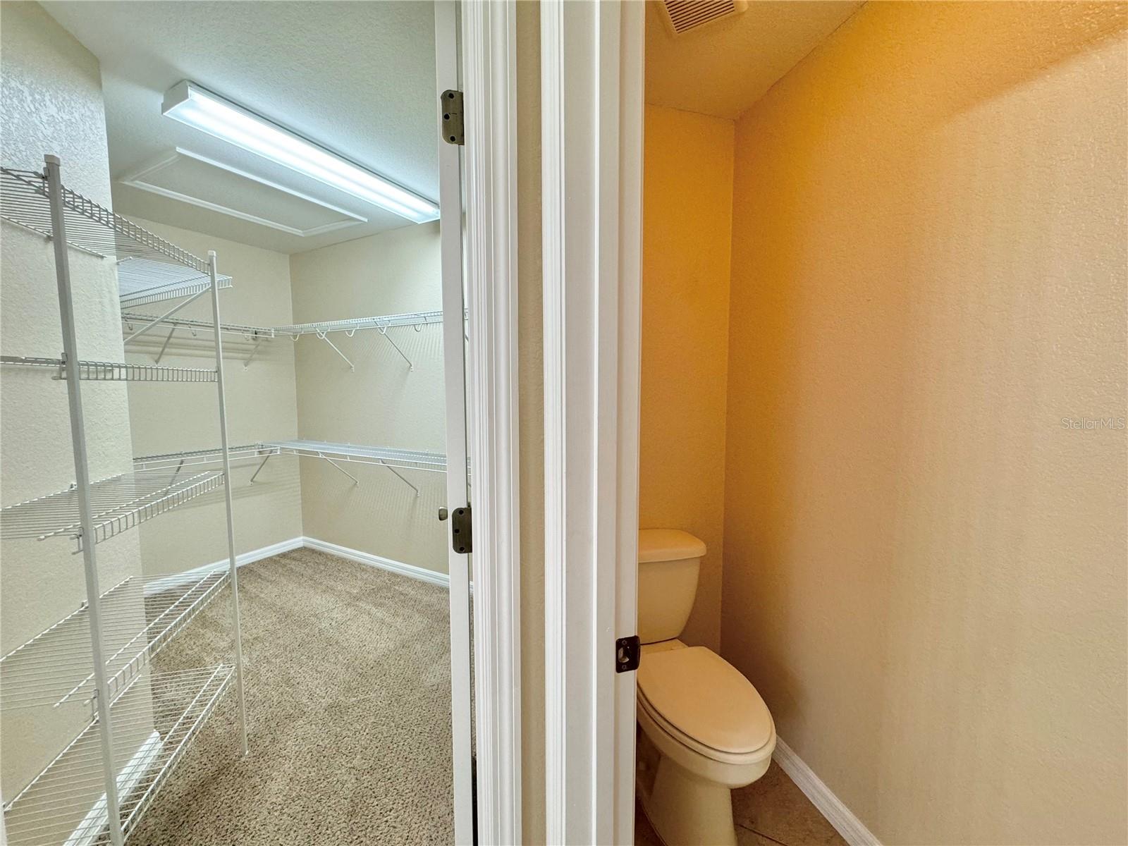 MANDOLIN - Residential Lease