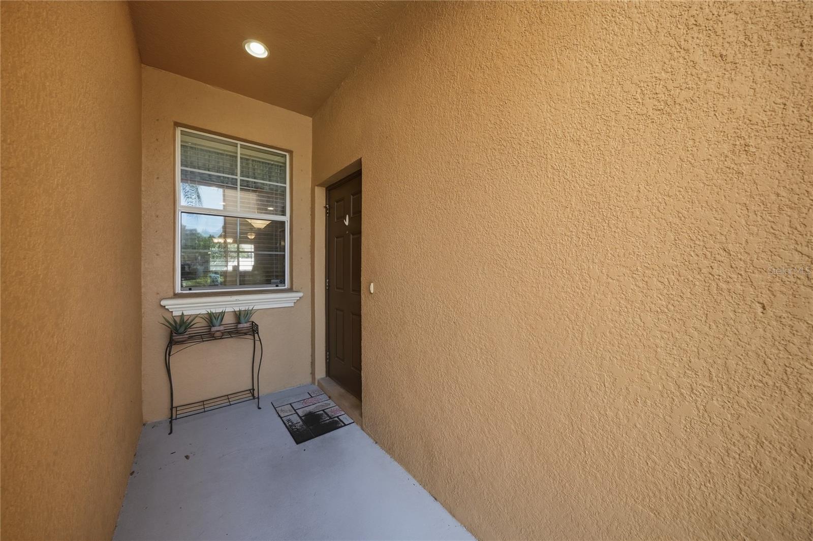 9477 TRUMPET VINE LOOP