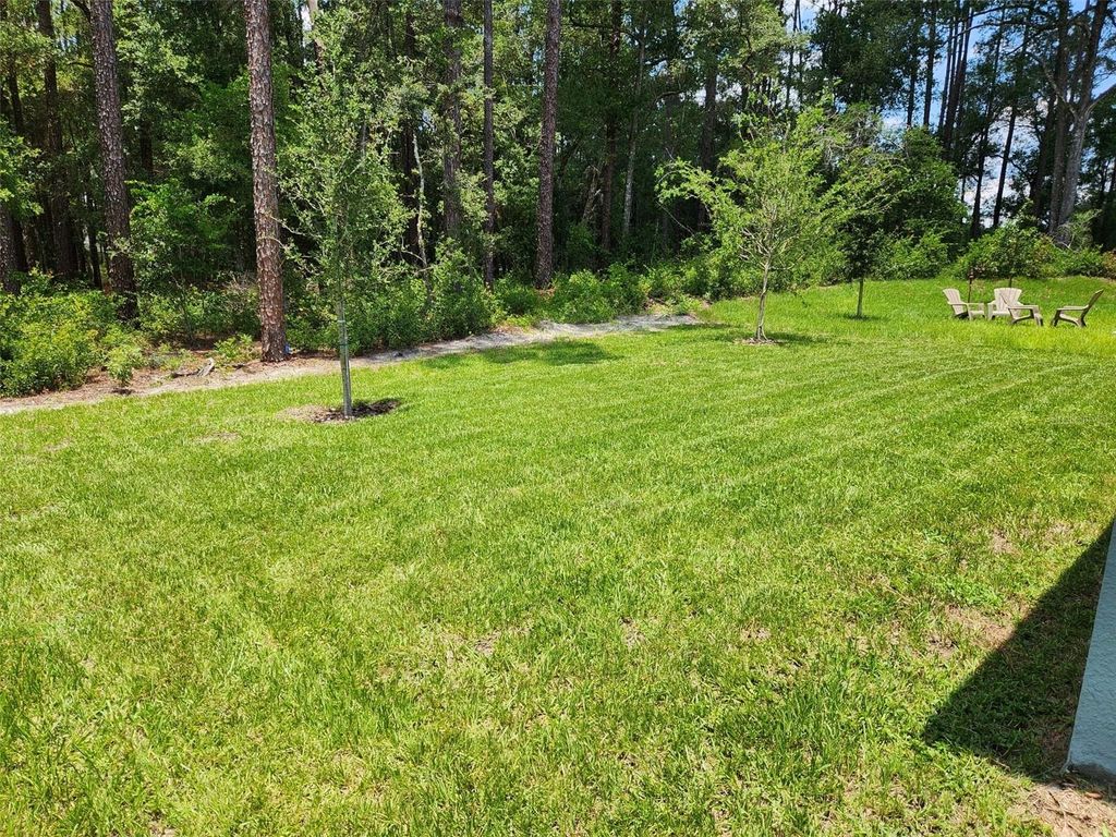 Photo of 505 Lady Irelyn Court, Deland, FL 32724 (MLS # O6370154)