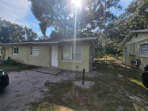 402 PETERS ST WILDWOOD FL 34785