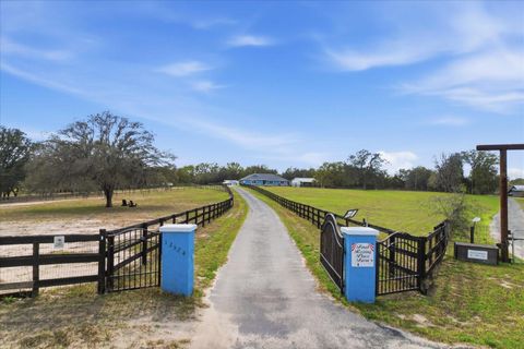 Tiny photo for 12524 SW 109th Place, Dunnellon, FL 34432 (MLS # O6388172)