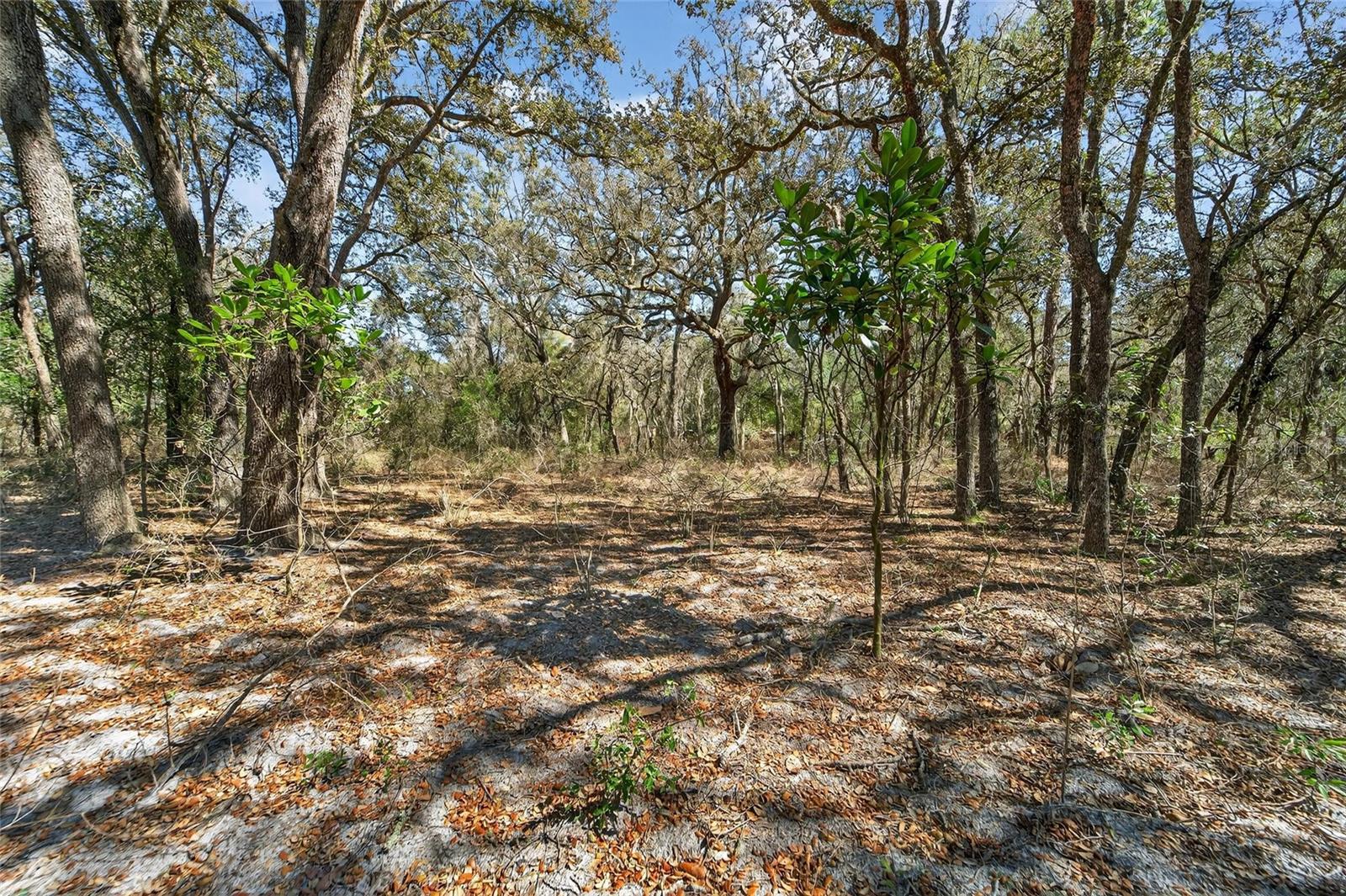 RIDGE MANOR ESTATES - Residential