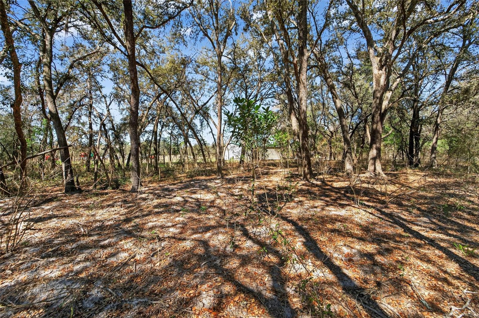 RIDGE MANOR ESTATES - Residential