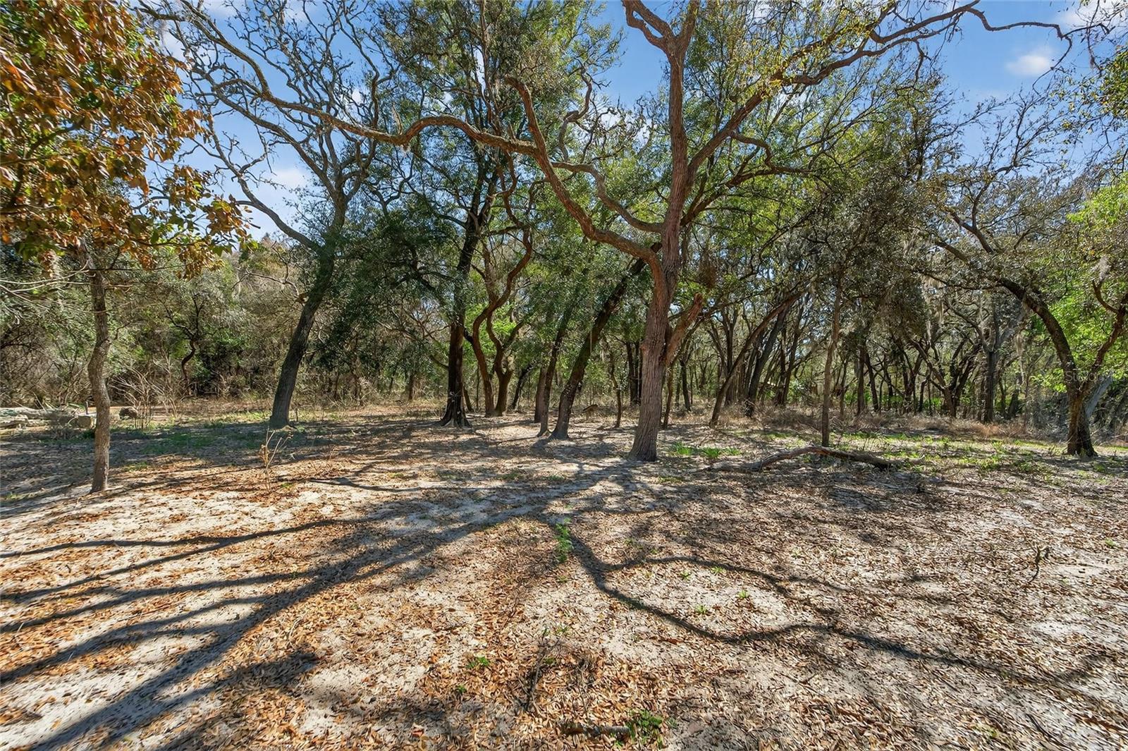 RIDGE MANOR ESTATES - Residential