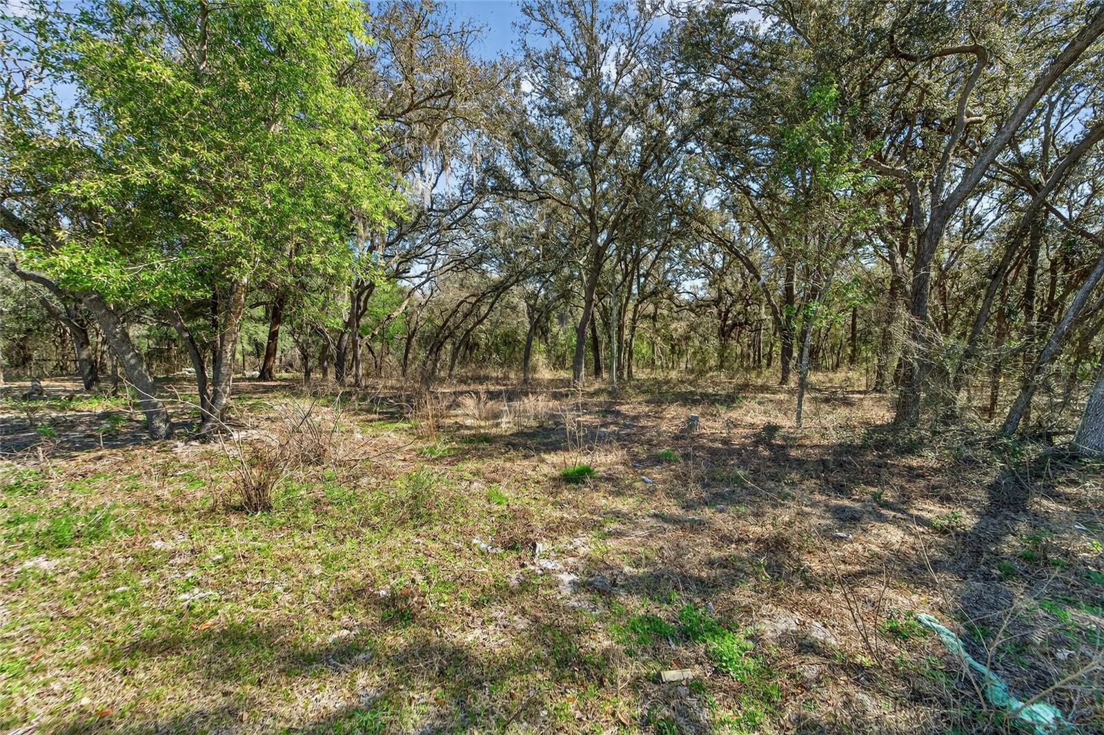 RIDGE MANOR ESTATES - Residential