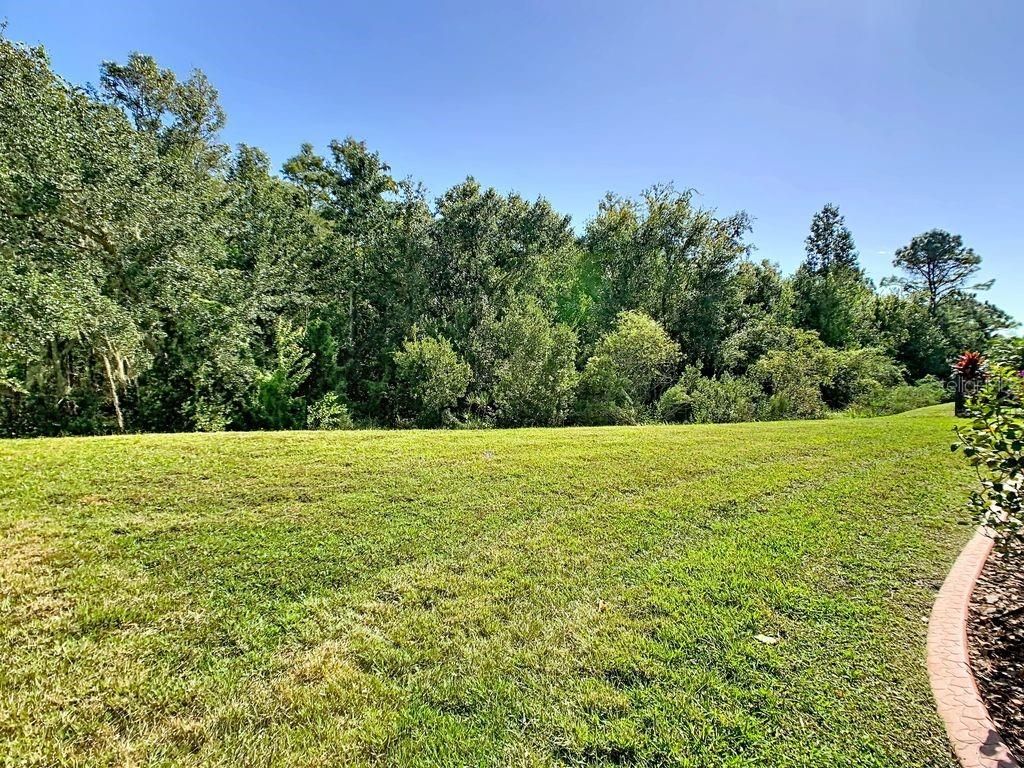 Photo of 543 Via Vitale Court, Kissimmee, FL 34759 (MLS # S5137772)