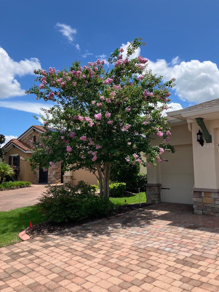 SOLIVITA PH 1C - Residential