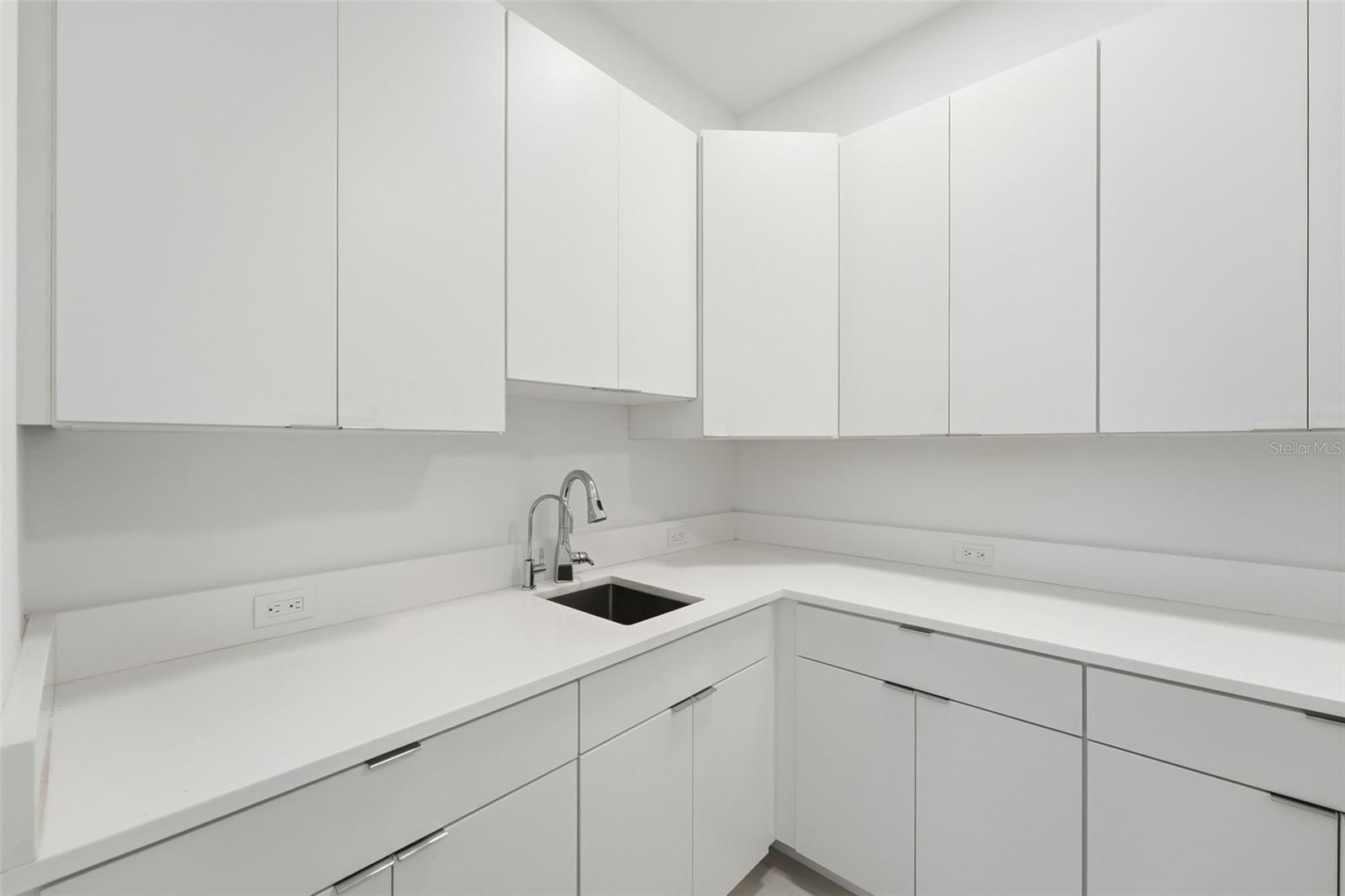 LAKE MAITLAND OWL PRESERVE - Residential