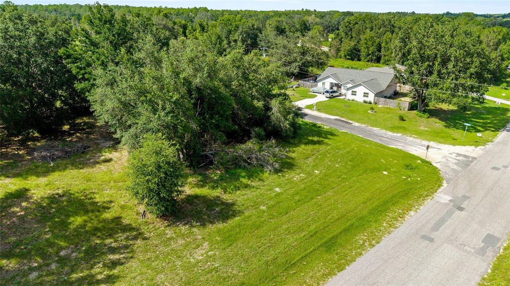 Photo of 550 E Urbana Place, Dunnellon, FL 34434 (MLS # OM709560)