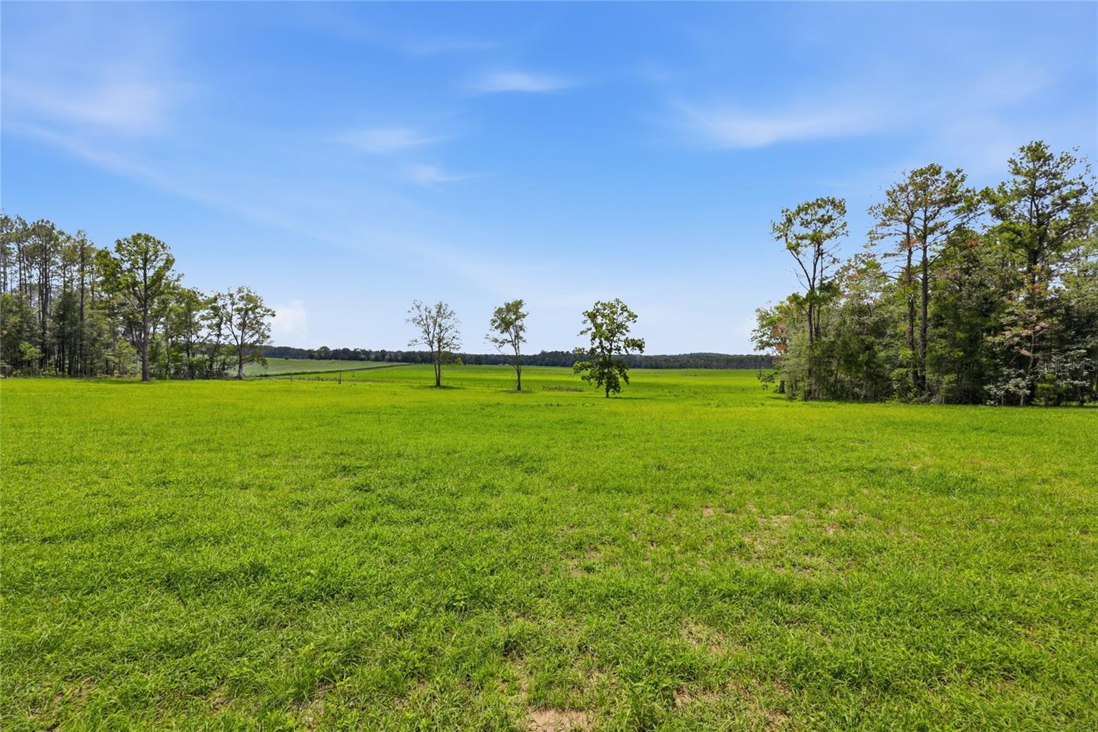 Lot 19 254TH LANE