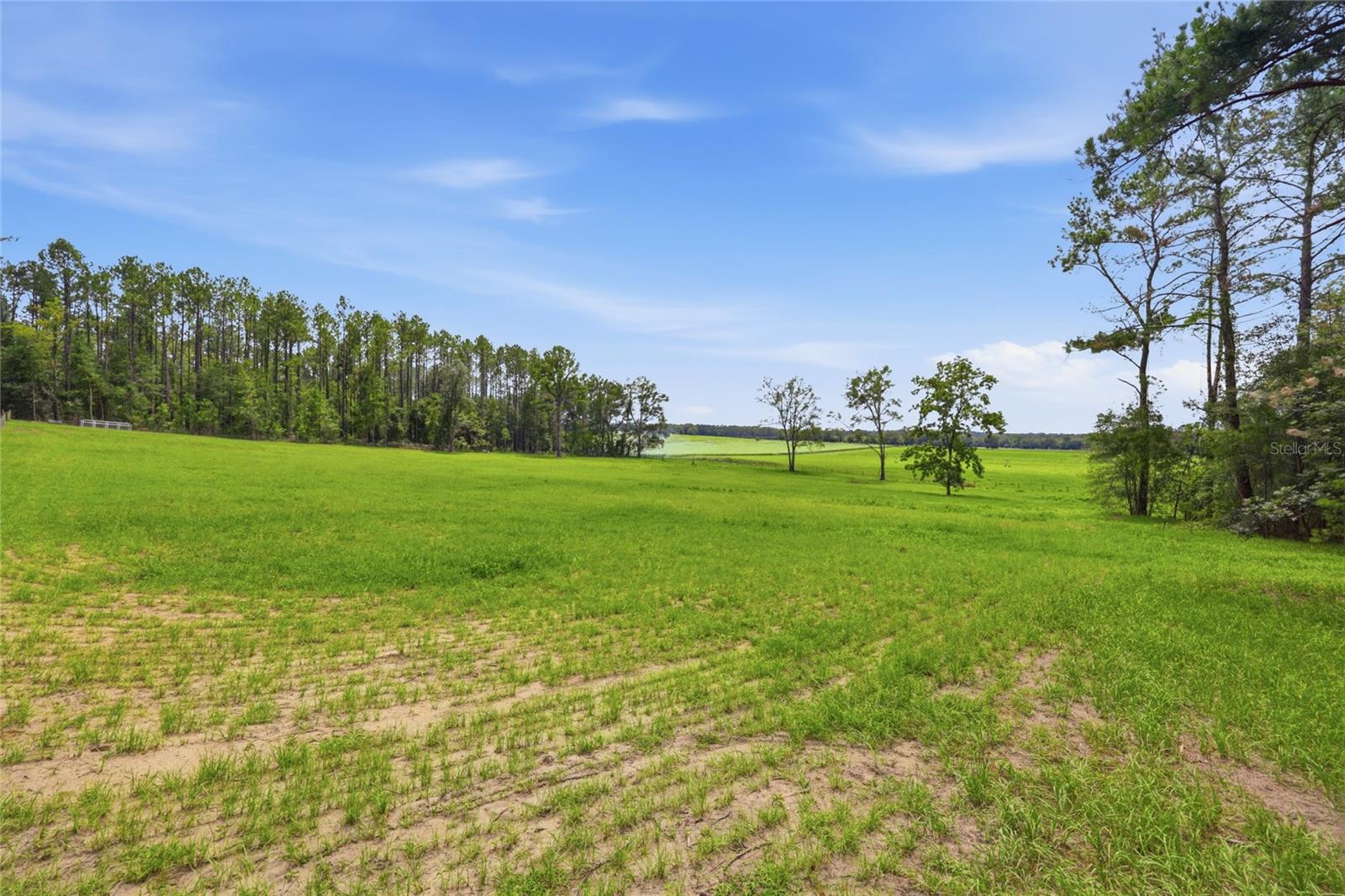 Lot 19 254TH LANE