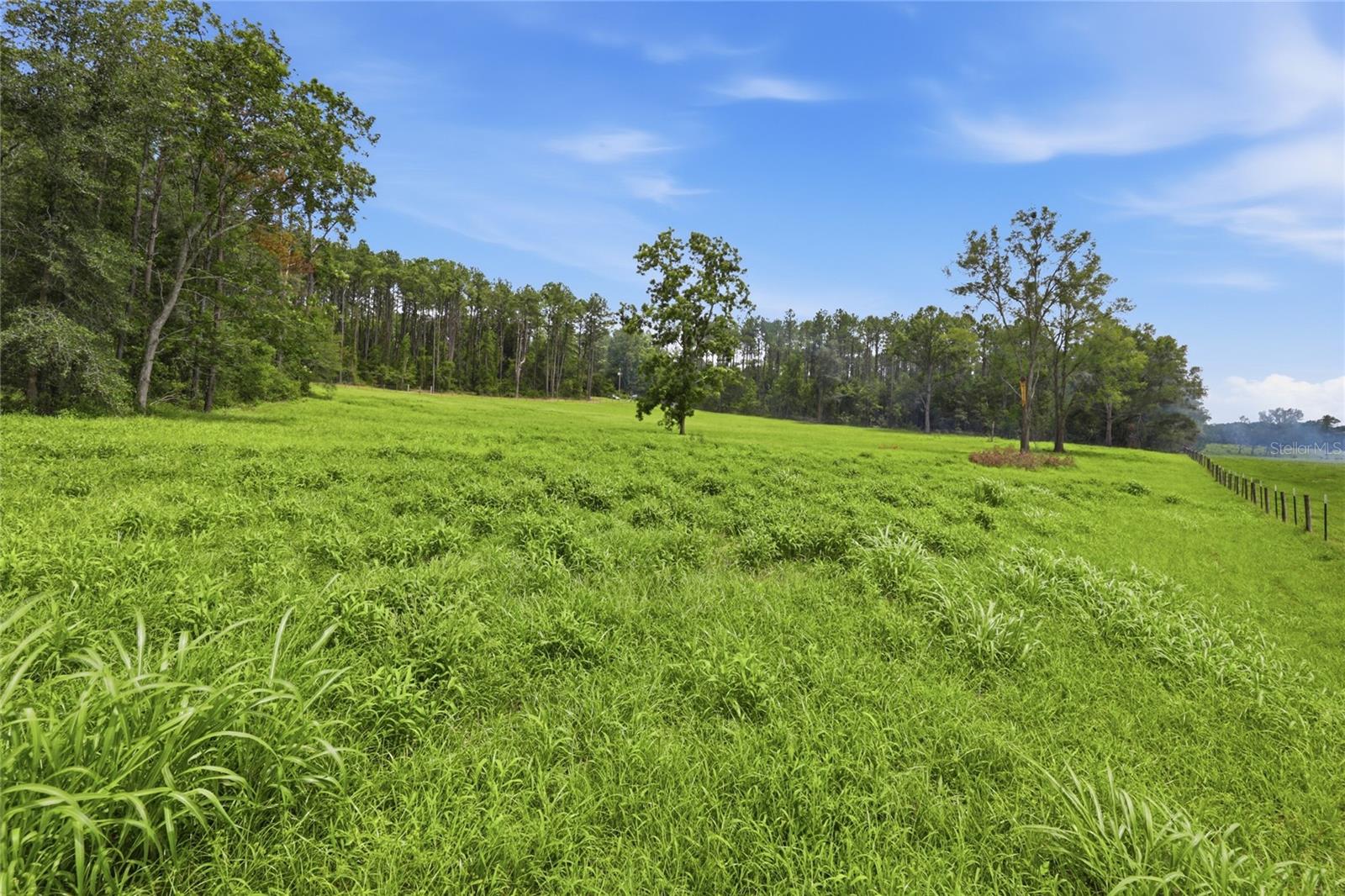 Lot 19 254TH LANE