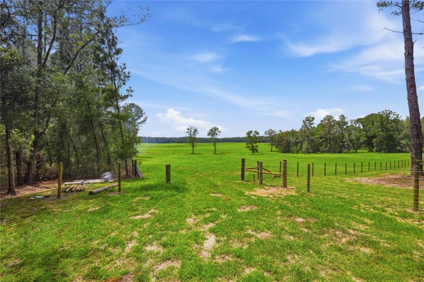 19 SW 254TH ST, NEWBERRY, FL 32669 - Image ce93e320c11d2fcb006e3995dbd3d963/436452684