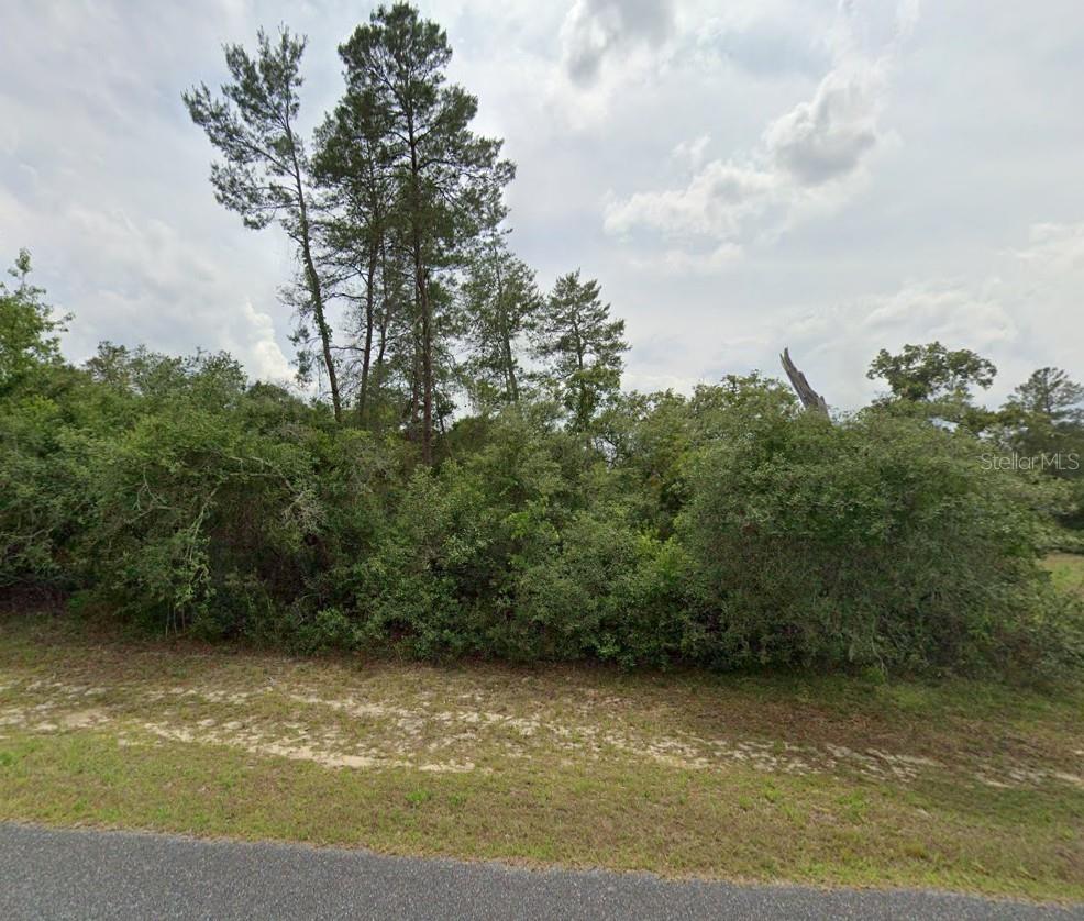 This 0.78-acre partially wooded lot in the Marion Oaks subdivision of Ocala, FL offers a fantastic opportunity to build your dream home in a thriving community. Ocala is known for its beautiful horse farms, lush parks, and vibrant downtown filled with shops and dining. Just a short drive from Gainesville and within easy reach of the Orlando metro area, you?ll enjoy both small-town charm and city convenience. With plenty of outdoor activities nearby, including the Ocala National Forest, this location is perfect for nature lovers and all buyers alike.