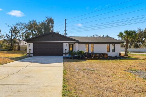 Photo of 6134 Christina Drive E, Lakeland, FL 33813 (MLS # S5144120)