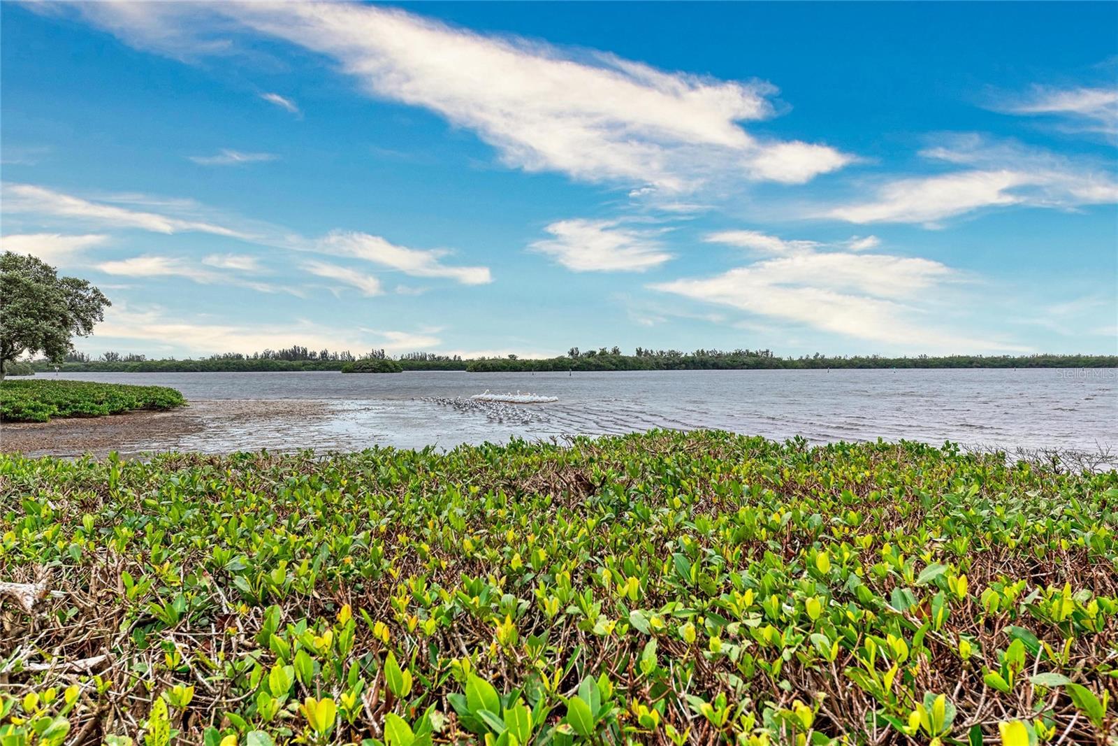 MOUNT VERNON PH 1 - Residential