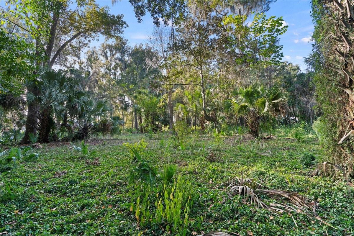 MAGNOLIA ESTATES - Land