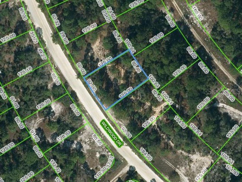 Photo of 355 Wildwood Drive, Lake Placid, FL 33852 (MLS # OM621741)