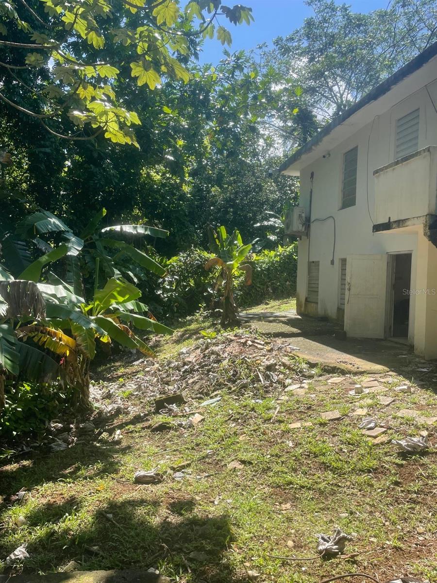 CAIMITO ALTO - Residential